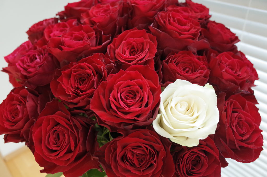 赤いバラの花言葉そのままに Amada Florist Irie Official Blog